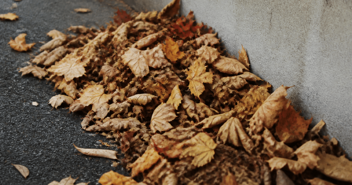 Tas de feuilles automnales empilees contre un mur exterieur